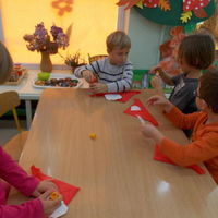 foto 24 2448