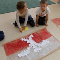 foto 24 2449