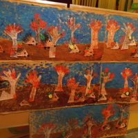 foto 24 2474
