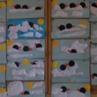 foto 24 2605