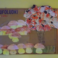 foto 24 3518