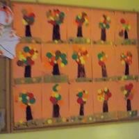 foto 24 3519