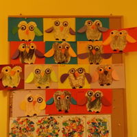 foto 24 3521