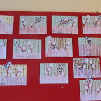 foto 24 3801