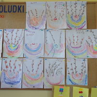 foto 24 3803