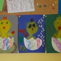 foto 24 3805