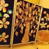 foto 24 5629