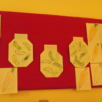foto 24 6768