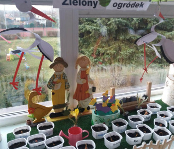 zielony ogród